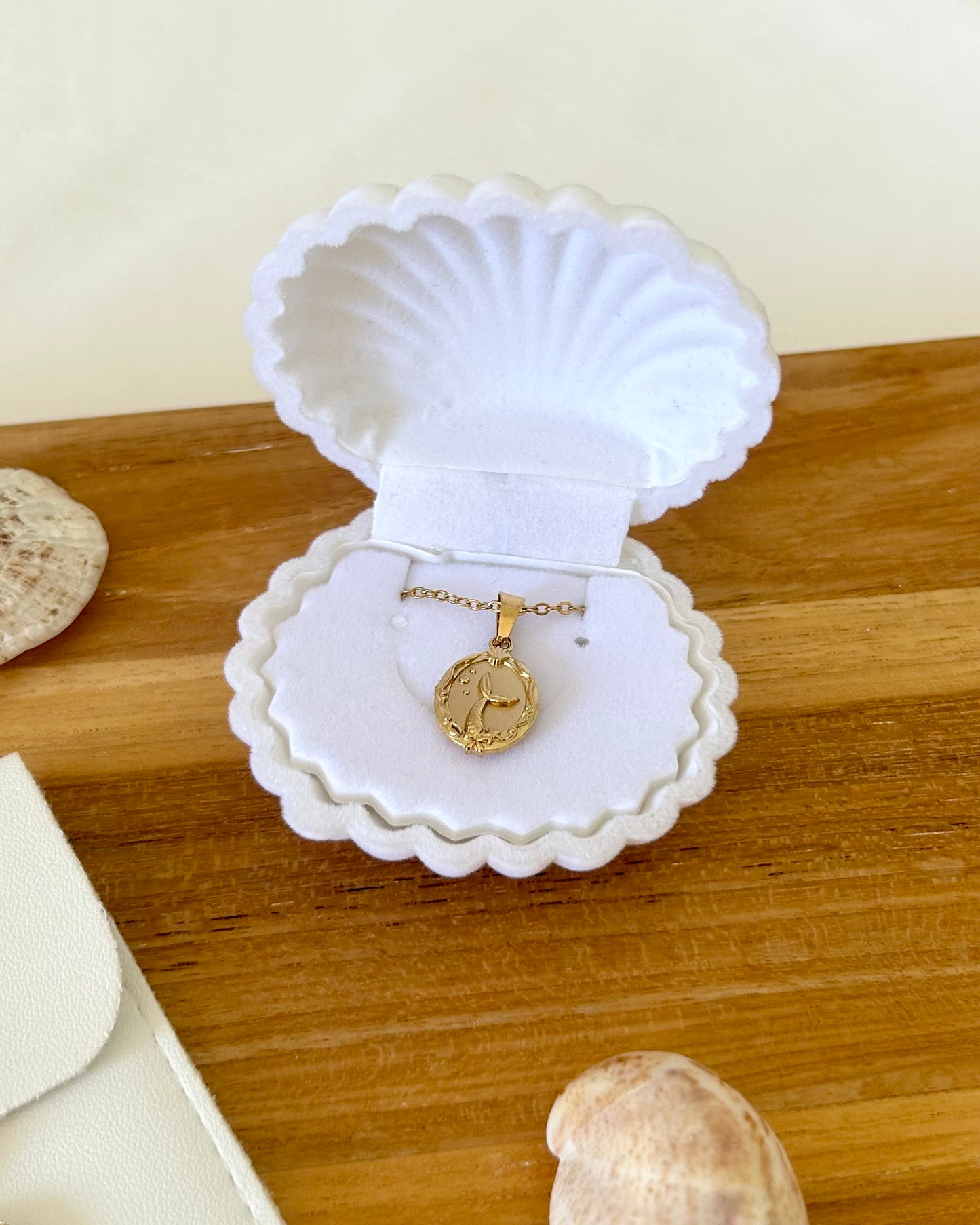 Estuche con forma de concha 🪸🐚