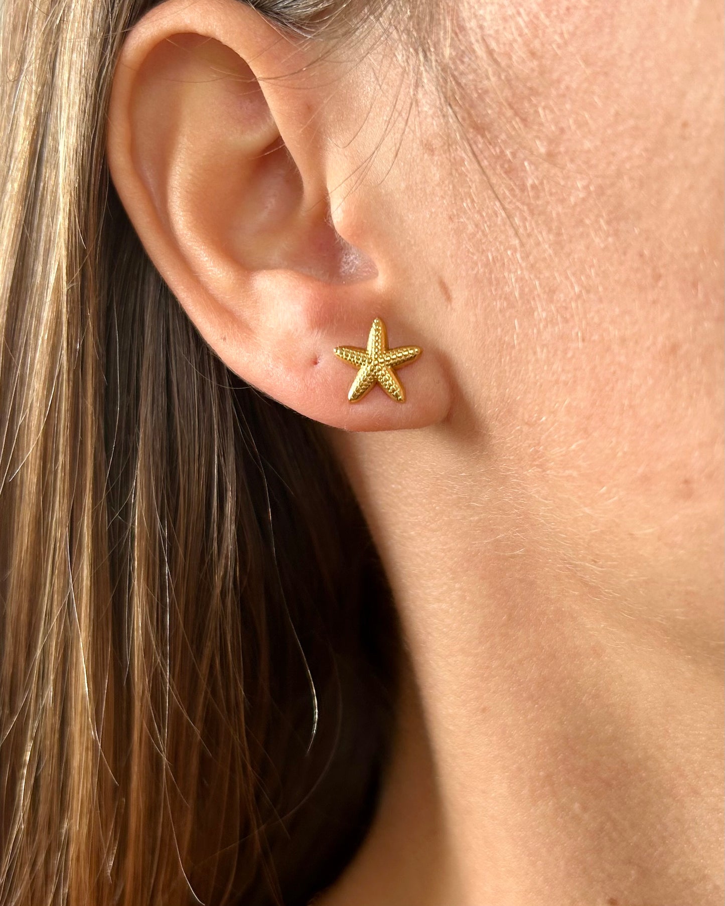 Puces d'oreilles Etoile de mer
