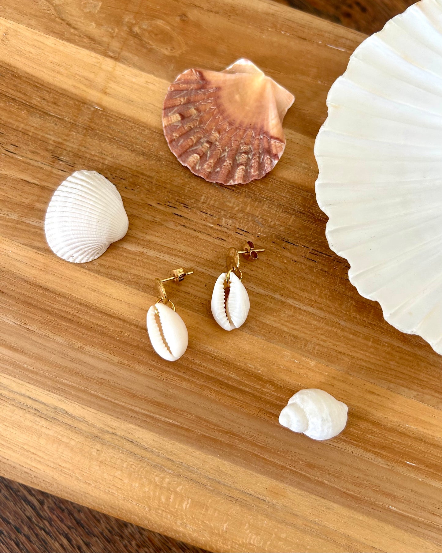 Boucles d'oreilles Coquillage