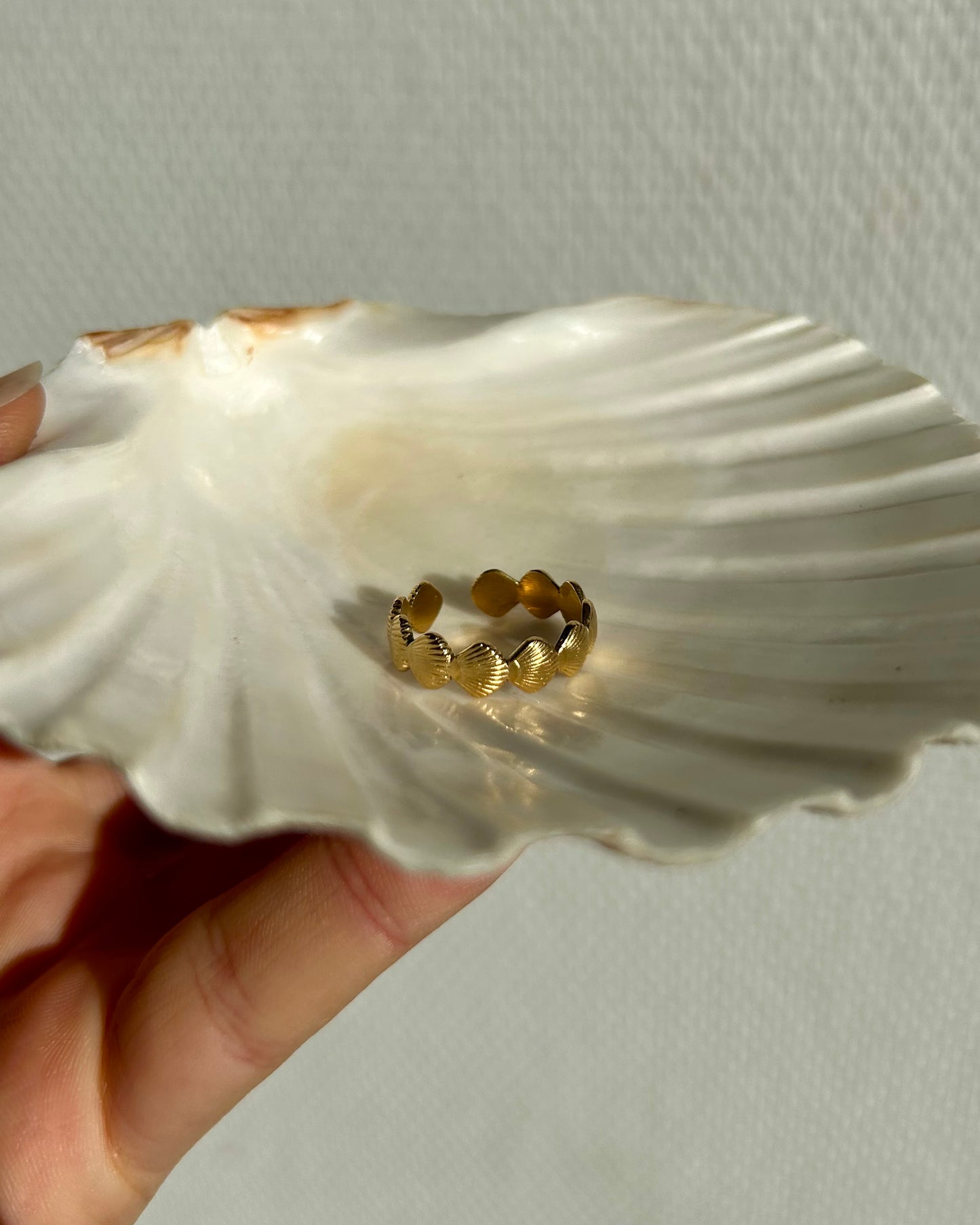 Anillo de cendrina