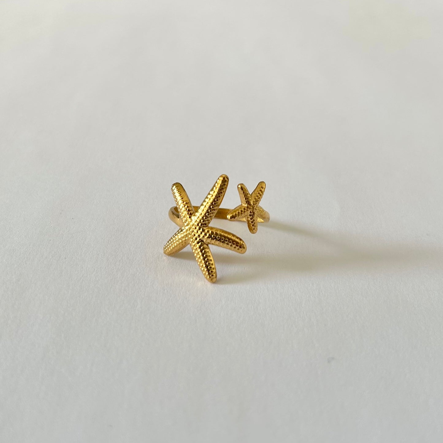 Anillo de Clara