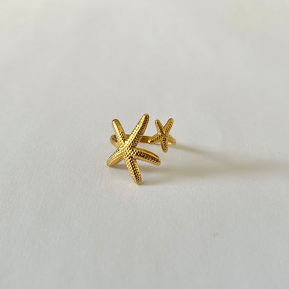 Anillo de Clara