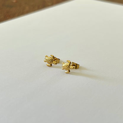 Pulgas de orejas Tortugas