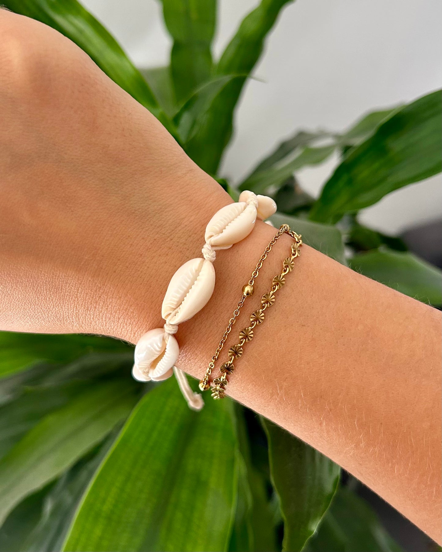 Lot de collier & bracelet cauris