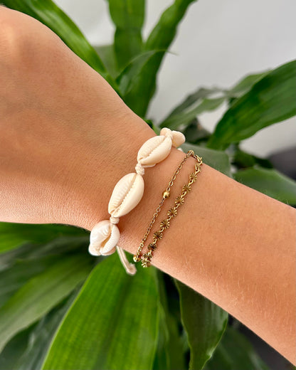 Lot de collier & bracelet cauris