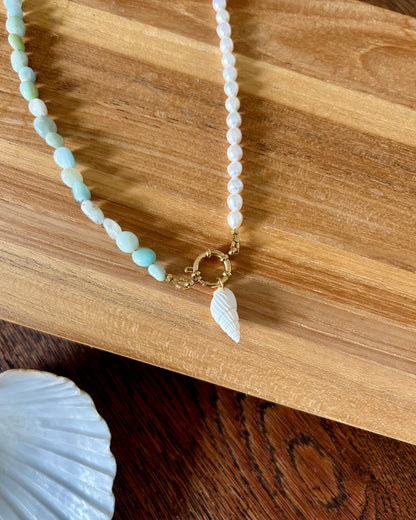 Collar Nova