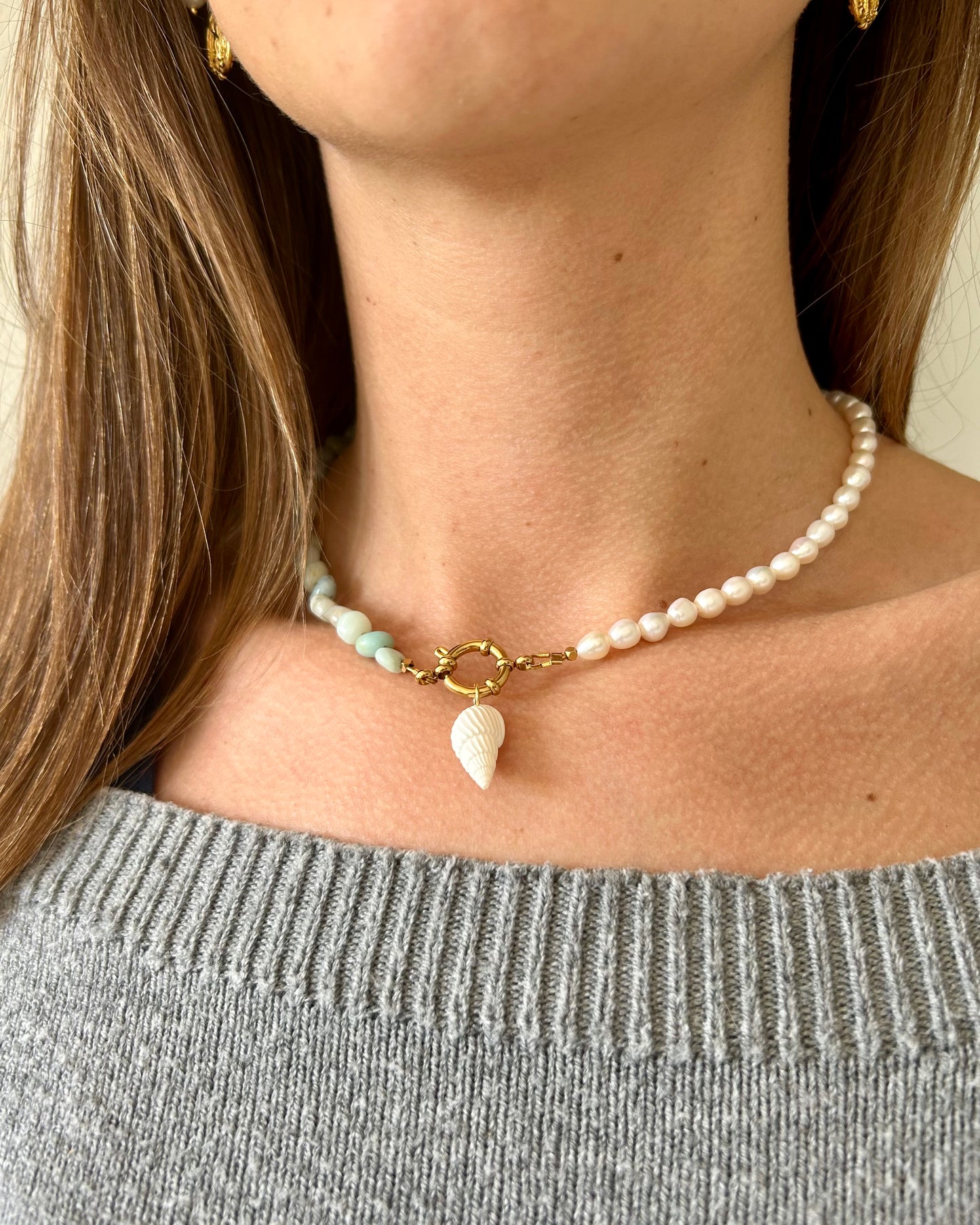 Collar Nova