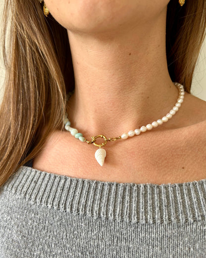 Collar Nova