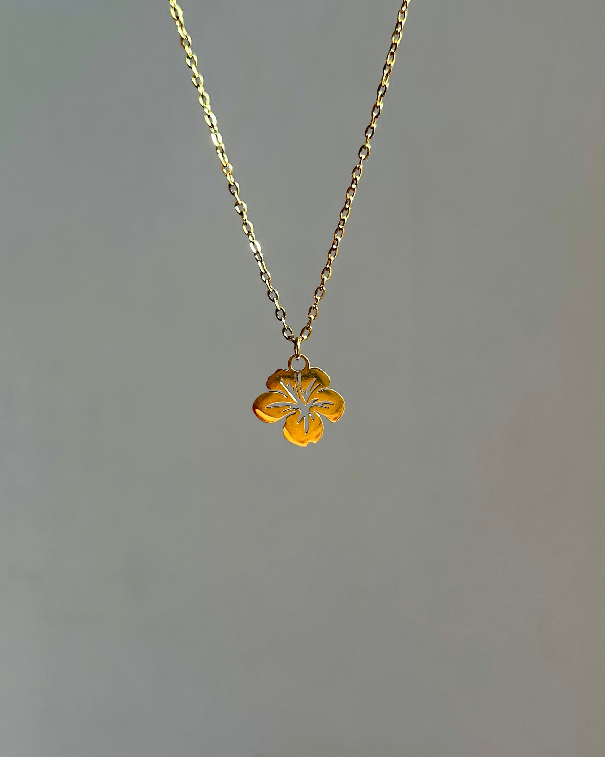 Collier Hawaï
