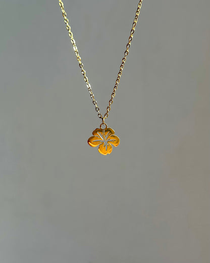 Collier Hawaï