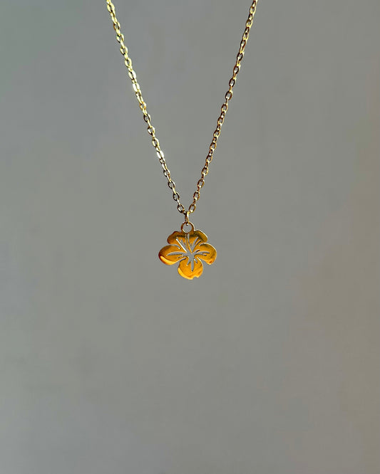 Collier Hawaï