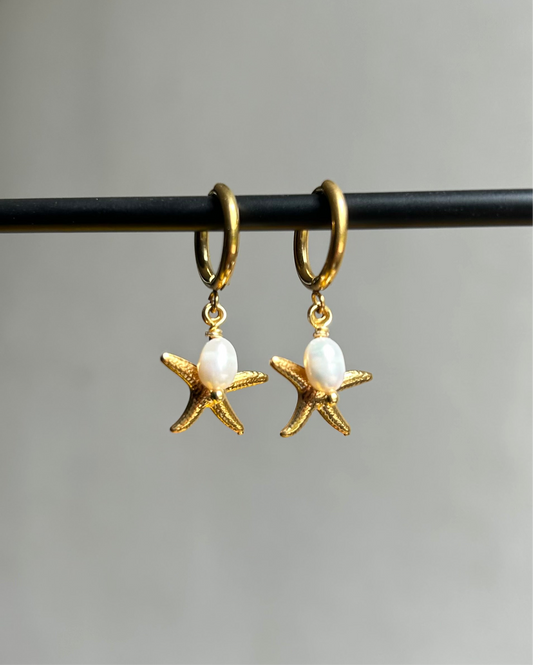 Créoles Etoile de mer