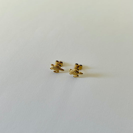 Puces d'oreilles Tortues