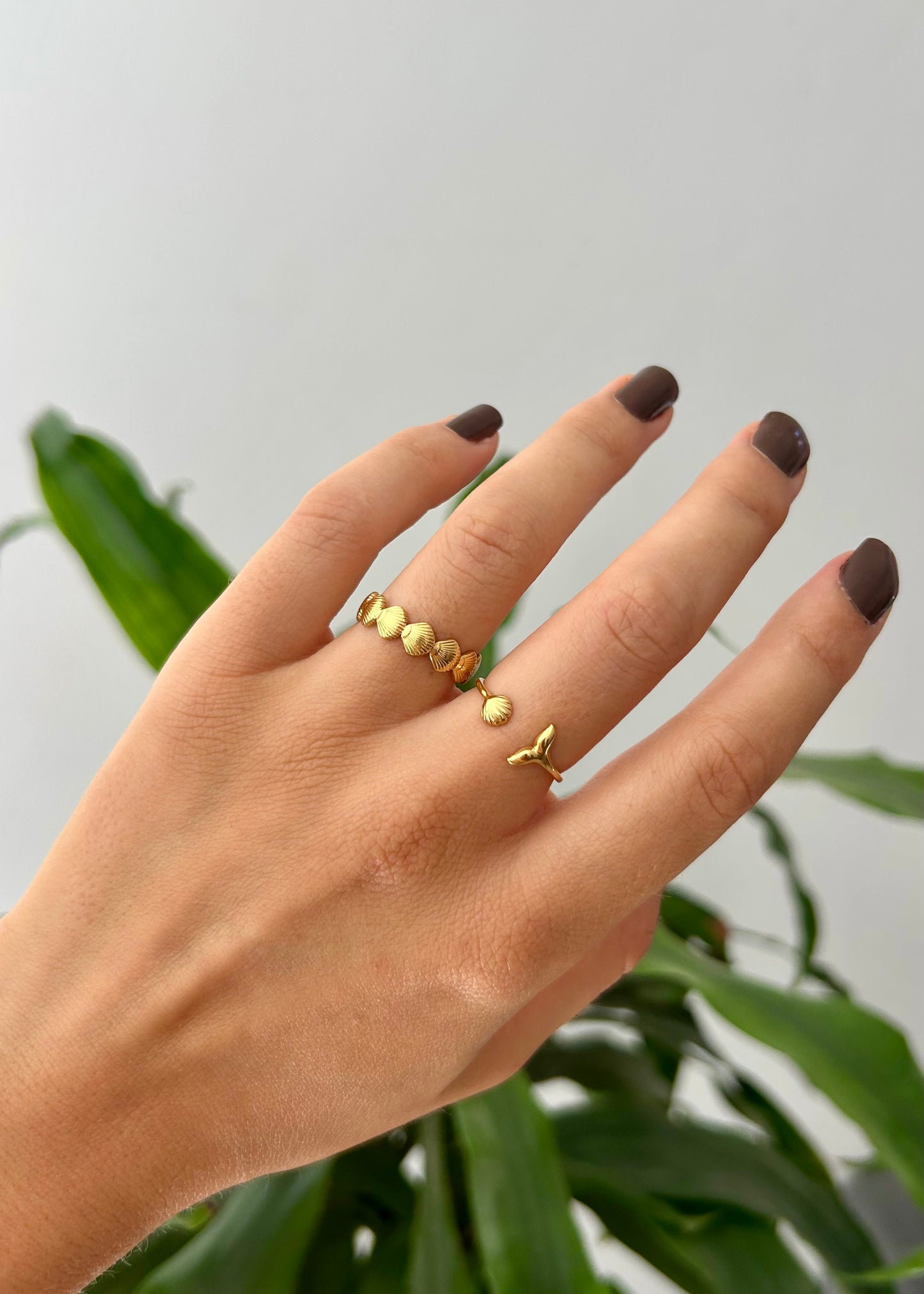 Ariel ring