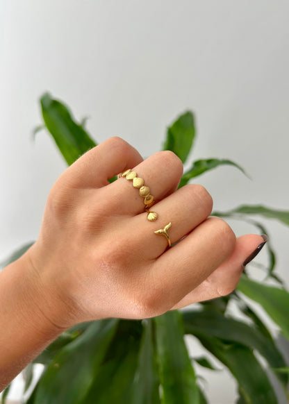 Ariel ring