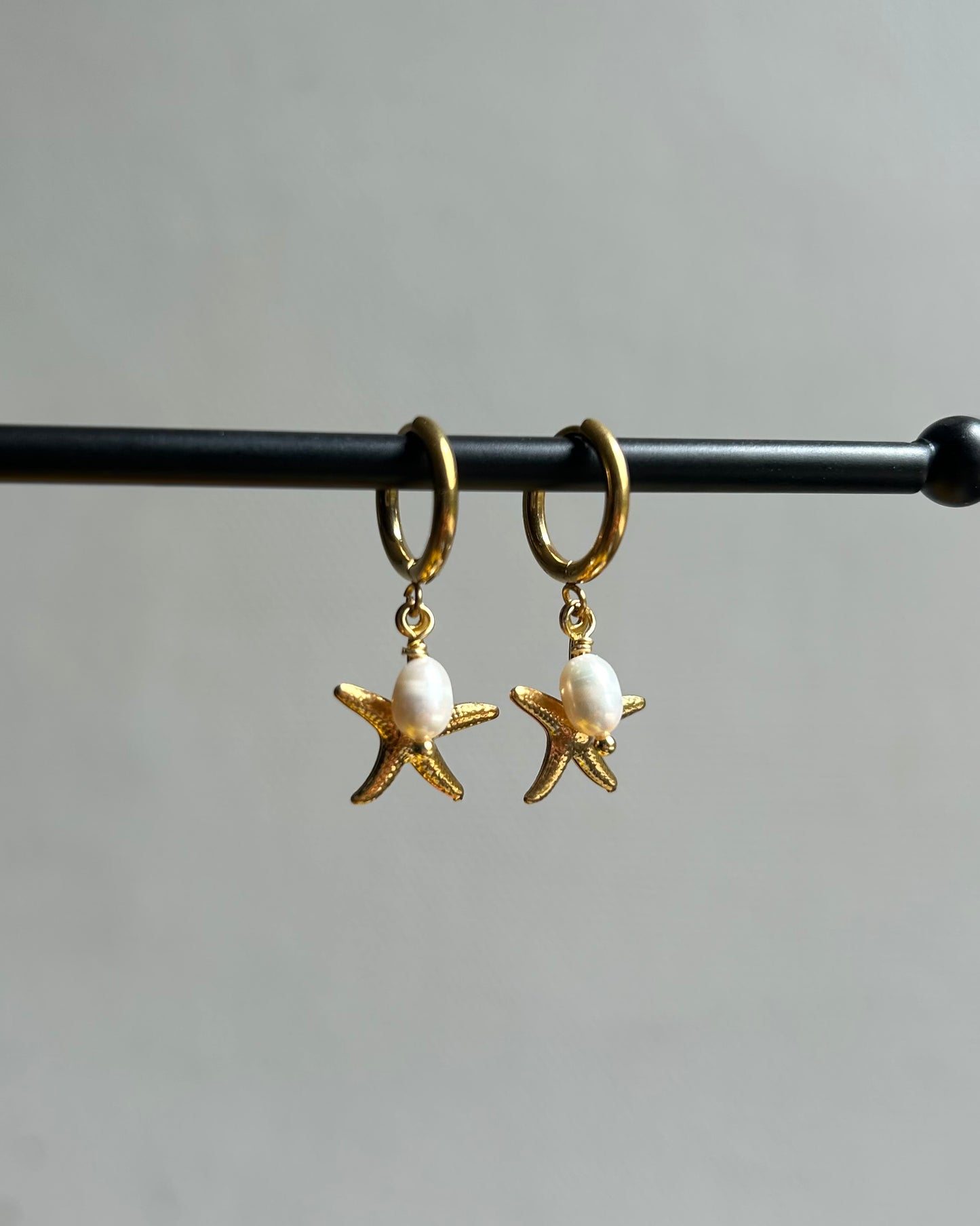 Créoles Etoile de mer