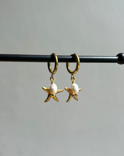 Créoles Etoile de mer