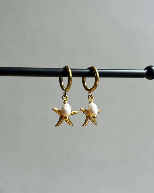 Créoles Etoile de mer