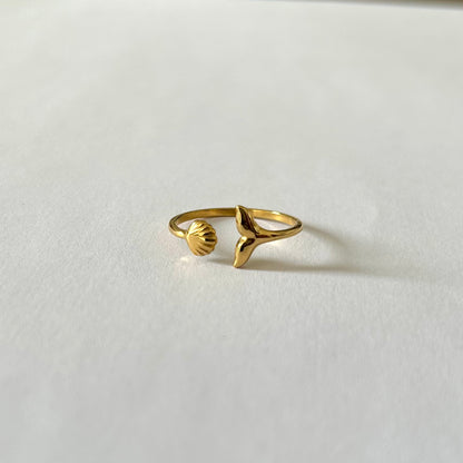 Anillo de Ariel