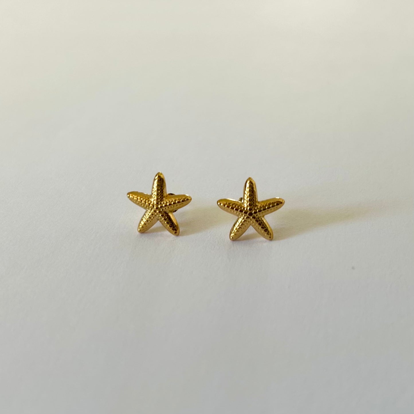 Puces d'oreilles Etoile de mer