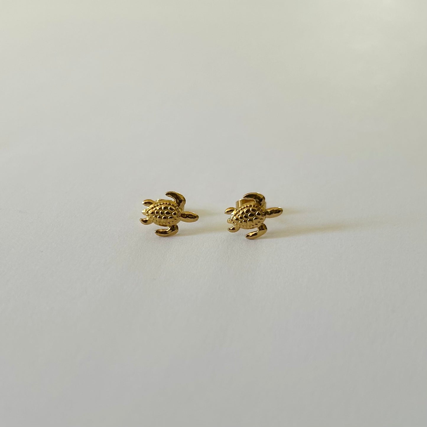 Pulgas de orejas Tortugas