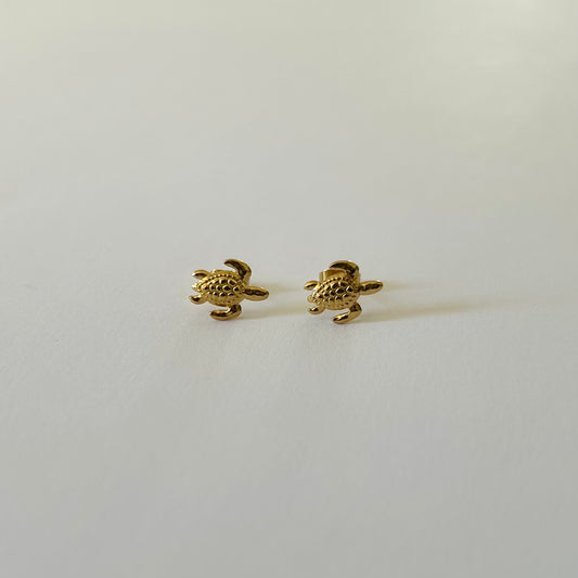 Puces d'oreilles Tortues