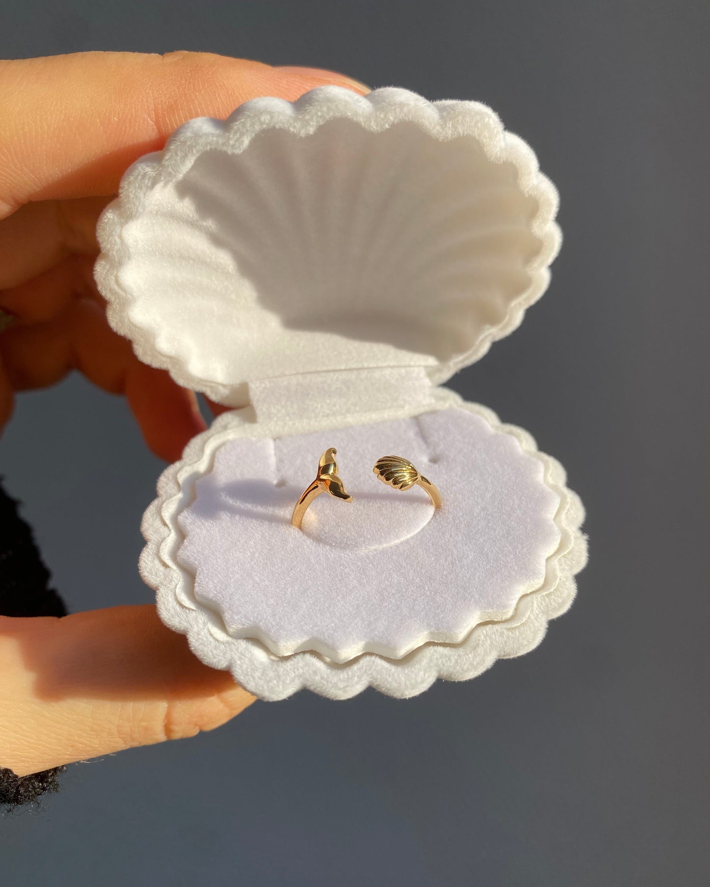Anillo de Ariel